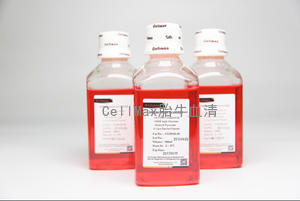 CellMax DMEM(H) 500ml 含谷氨酰胺不含丙酮酸钠